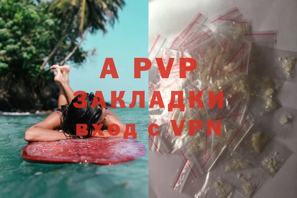 трава Арсеньев